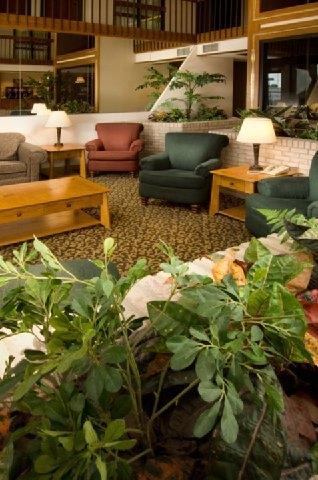 Pear Tree Inn Mcallen Wnętrze zdjęcie